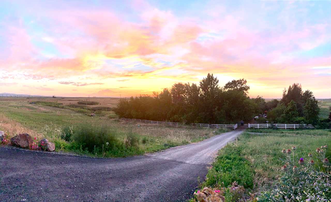  Property entrance at sunset, Spring.