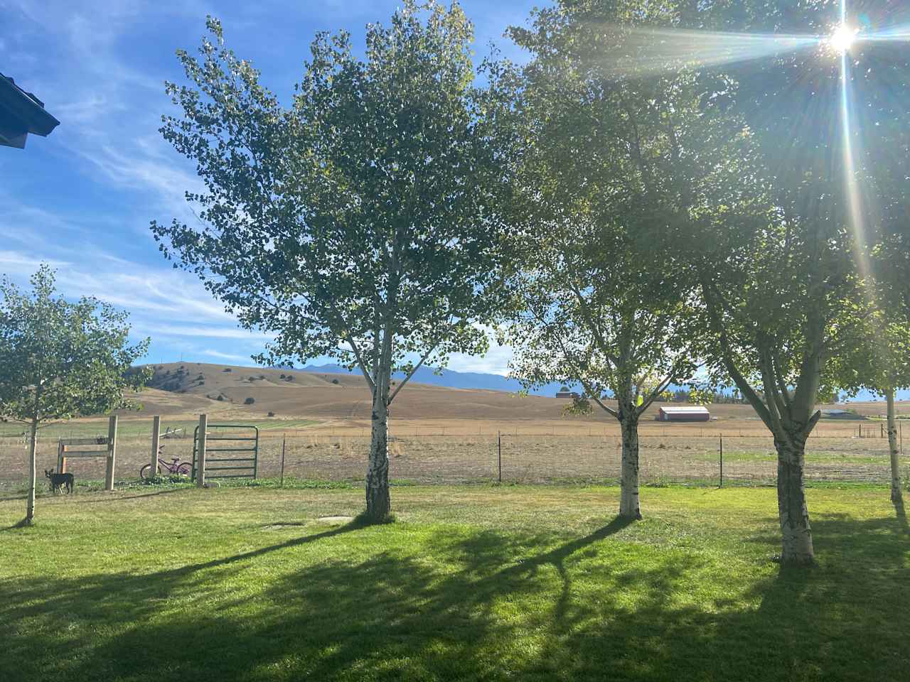 This is the view form our main house looking out onto the property.