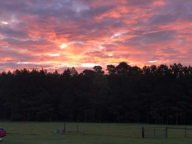 pasture and sunrise 