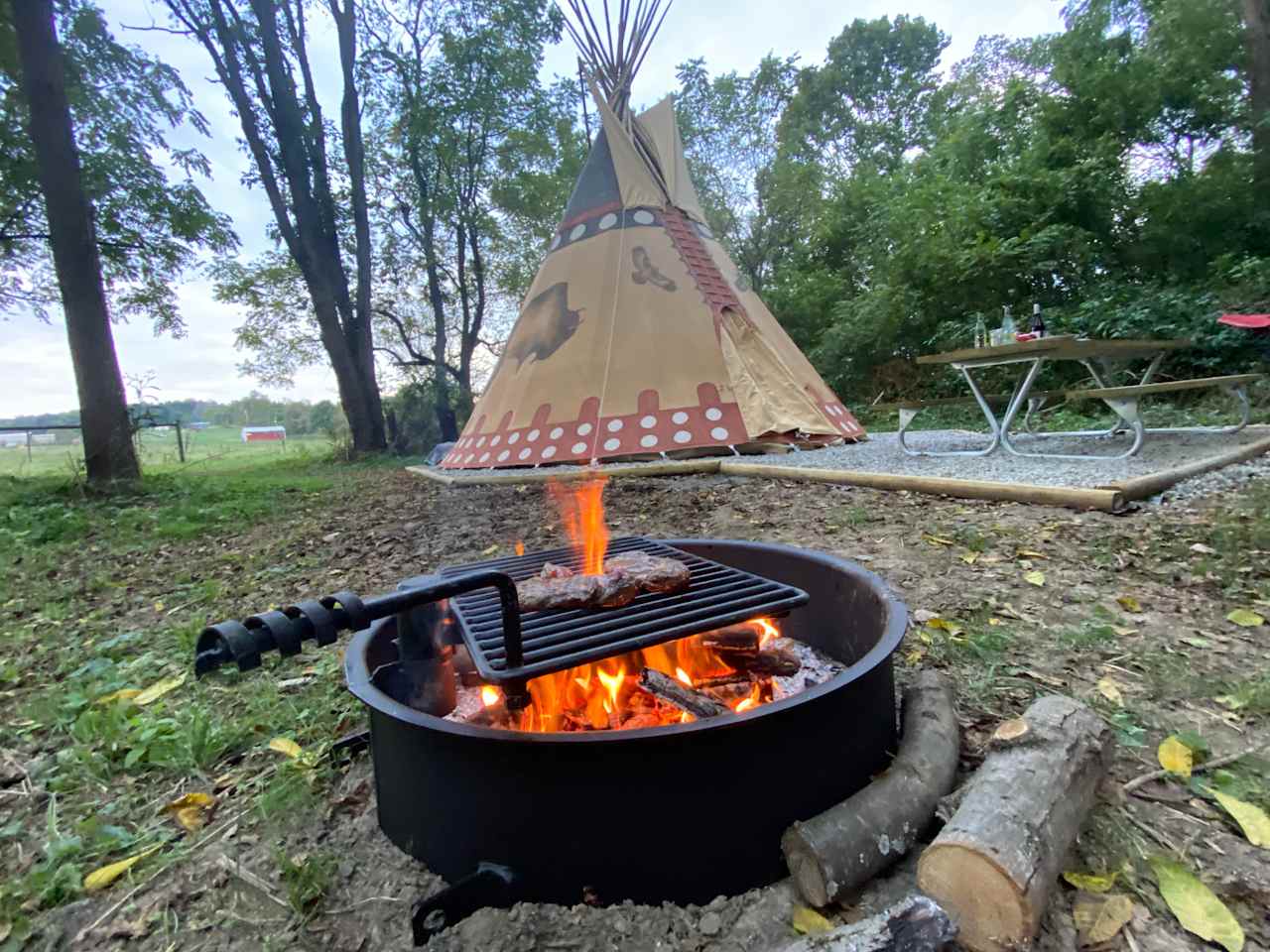 Dinner is served! Bison steaks over the fire is to die for