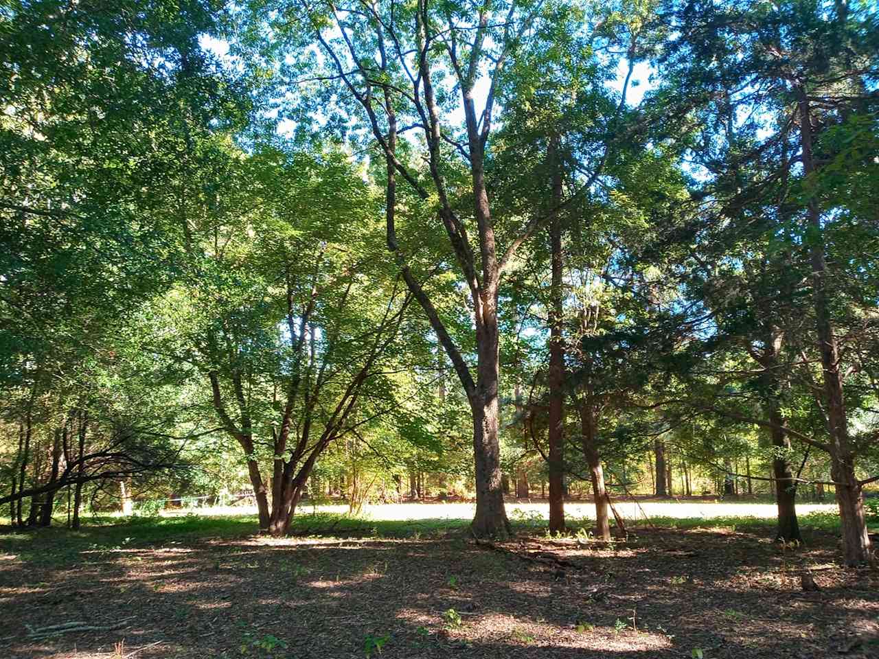 Giant Oaks Horse Farm