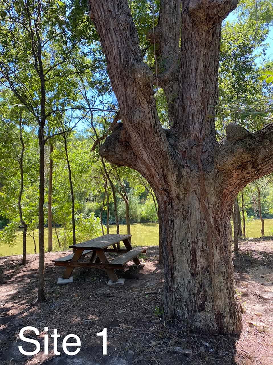 Pecans on the Paluxy - River Views