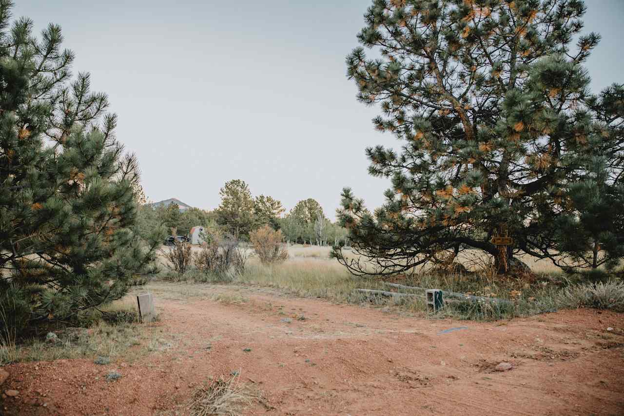 Enter the drive between these two trees and look for a sign on the tree trunk on the right in this photo.