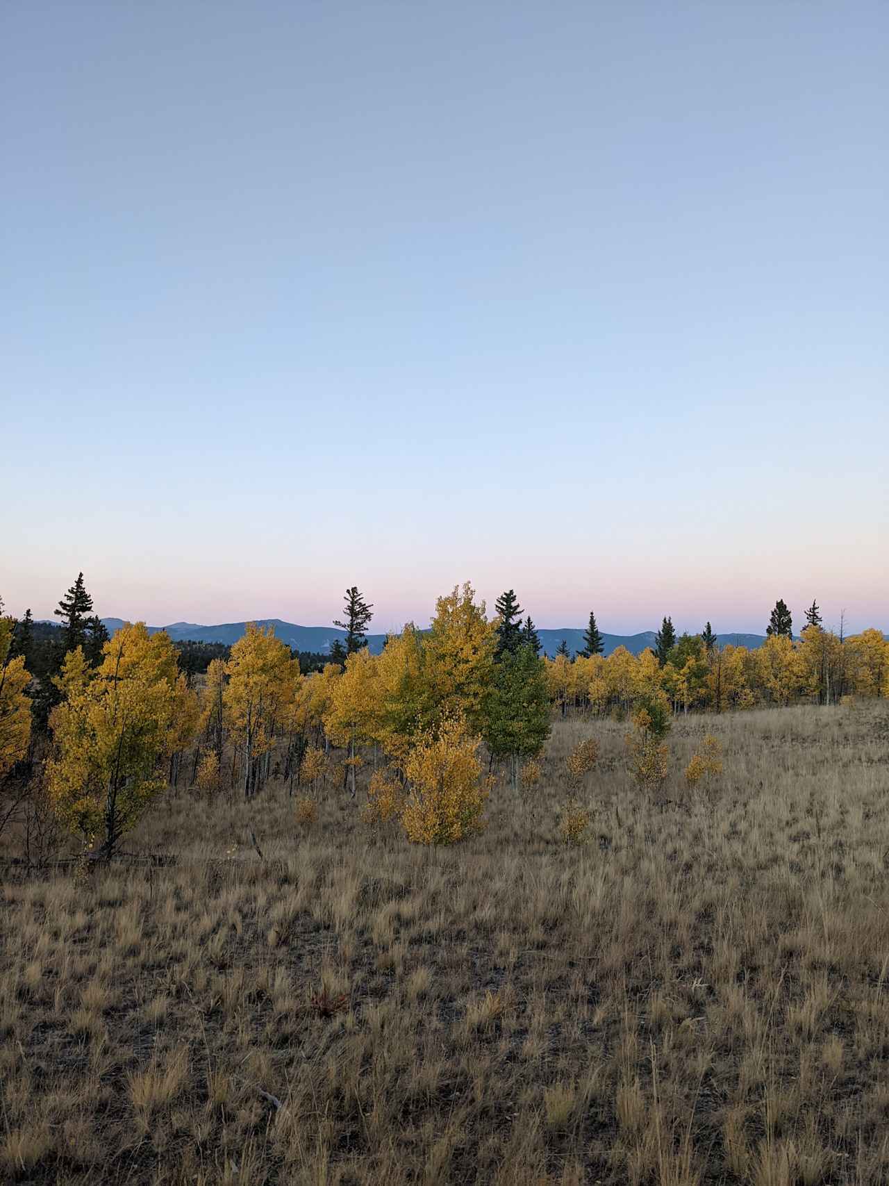 Camp with a view!