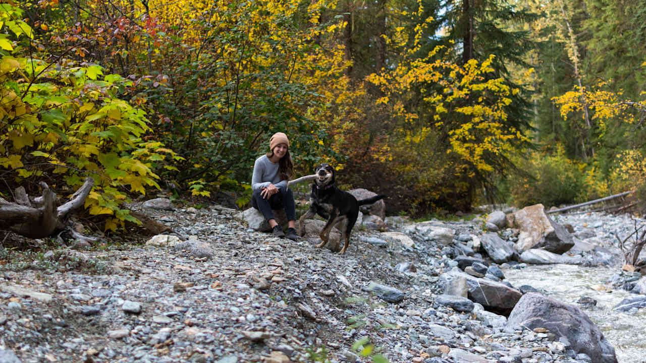 So many sticks were collected in this beautiful place.