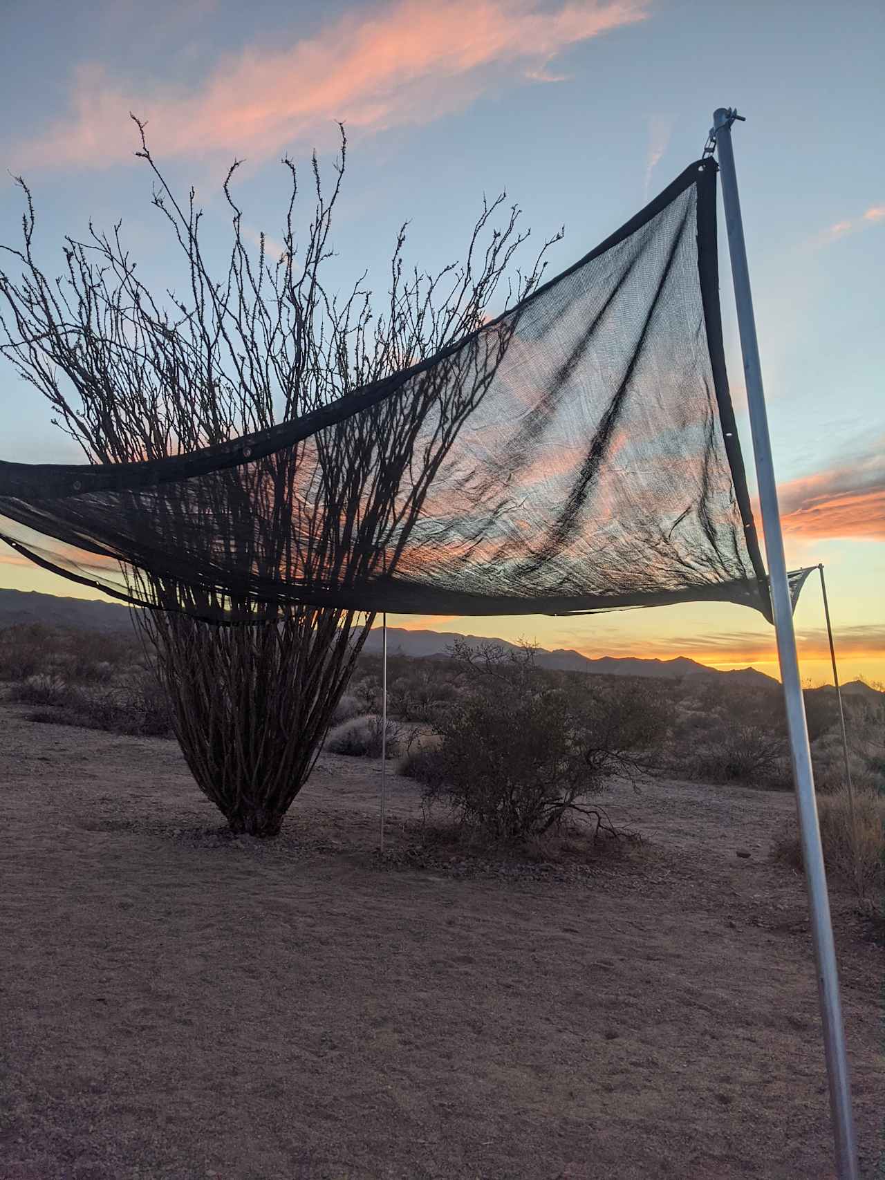 Joshua Tree Private Campsite