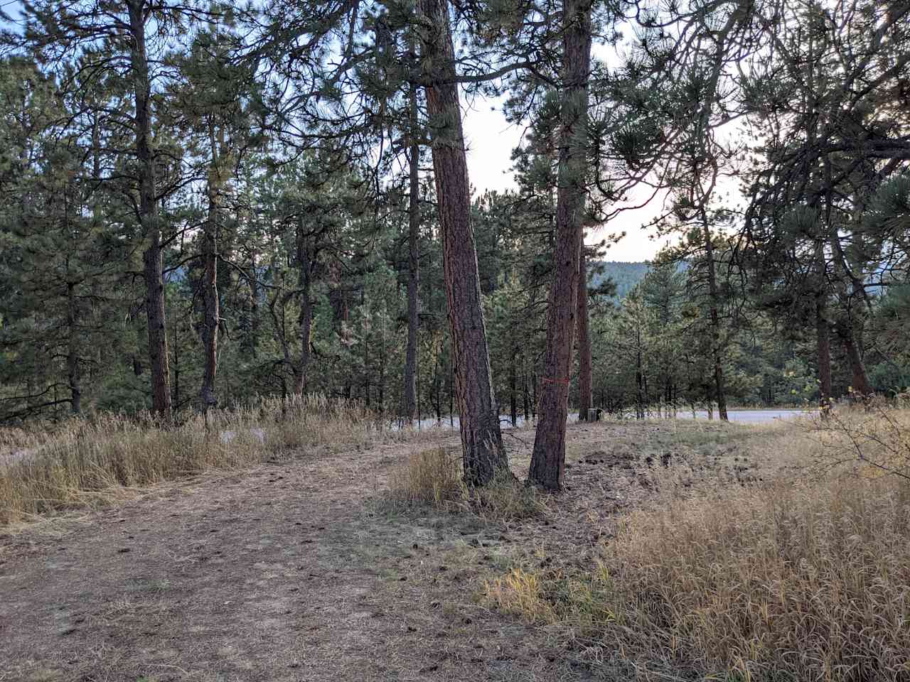 RV Site Near Red Rocks in Morrison