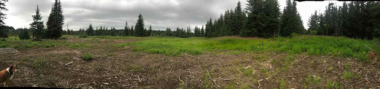 Bridge Creek BOG