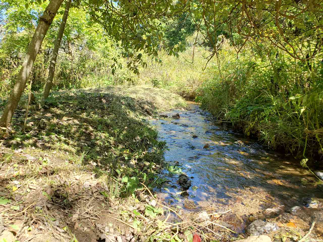 'Possum Creek Ranch