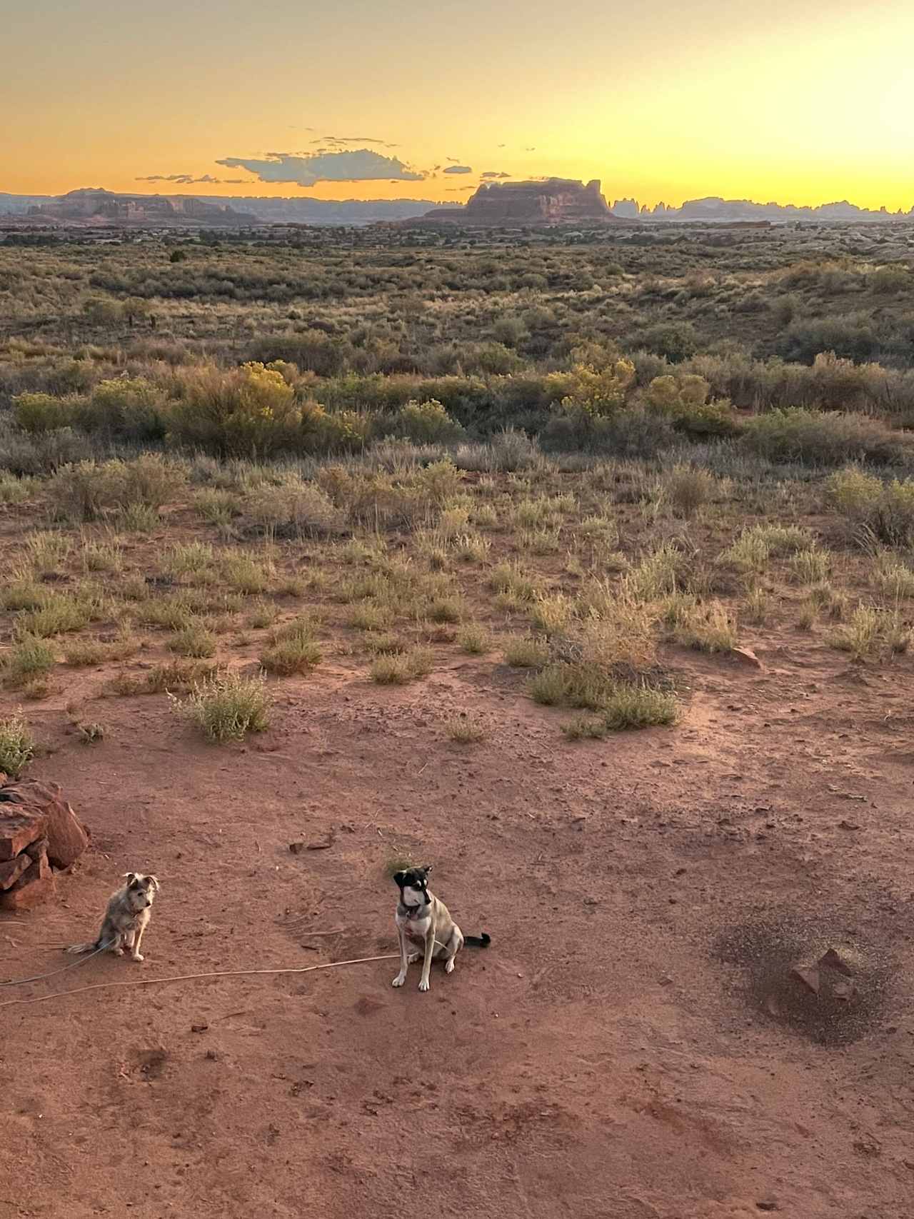 The Needles Outpost Campground