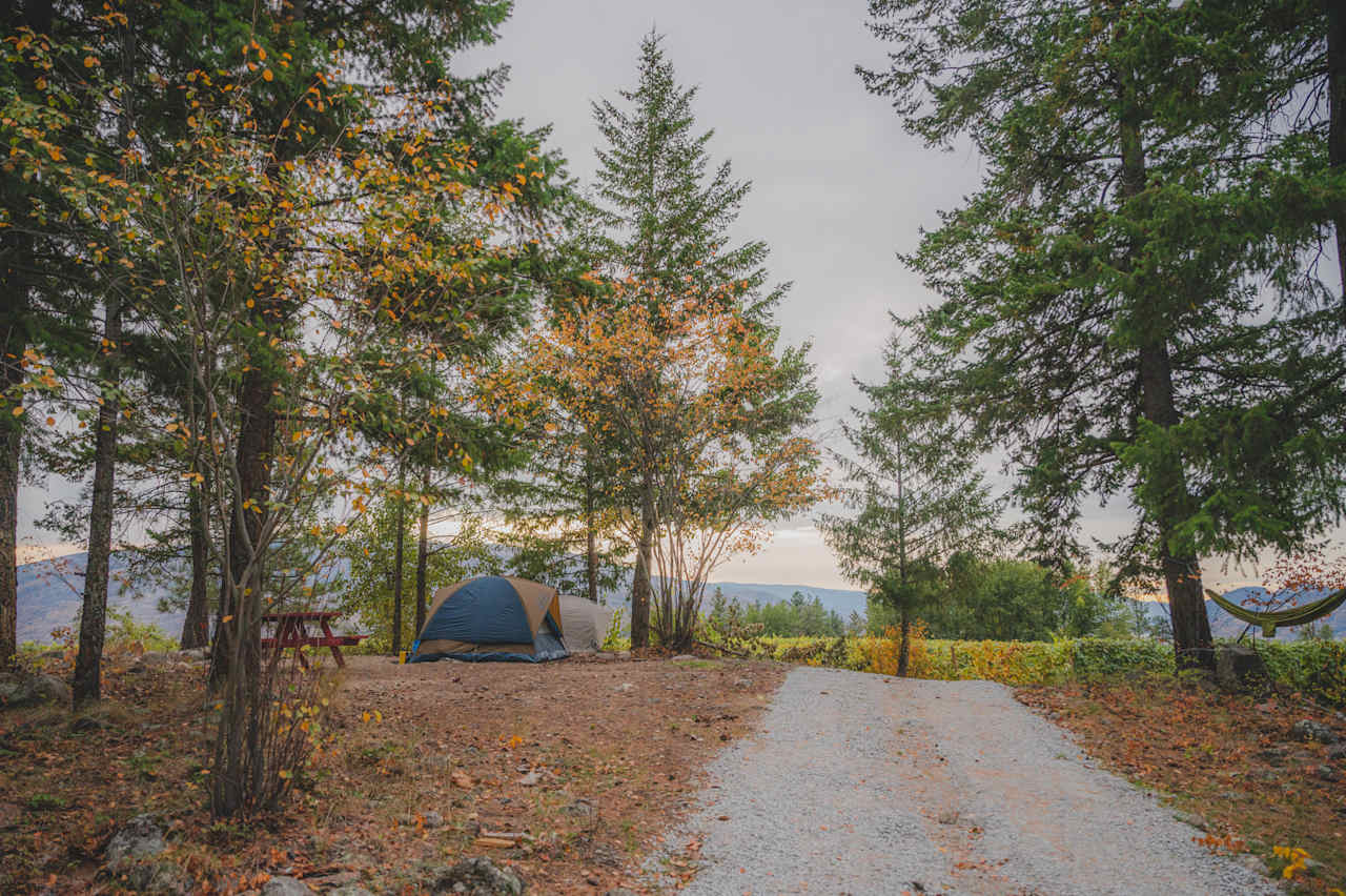 We had a lovely and quiet sleep at Site #1.