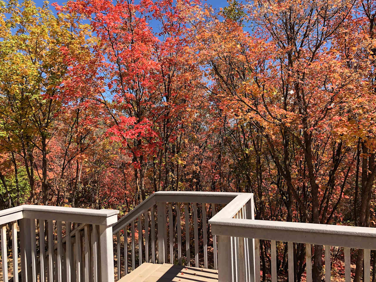 Midway "Treehouse" Cabin