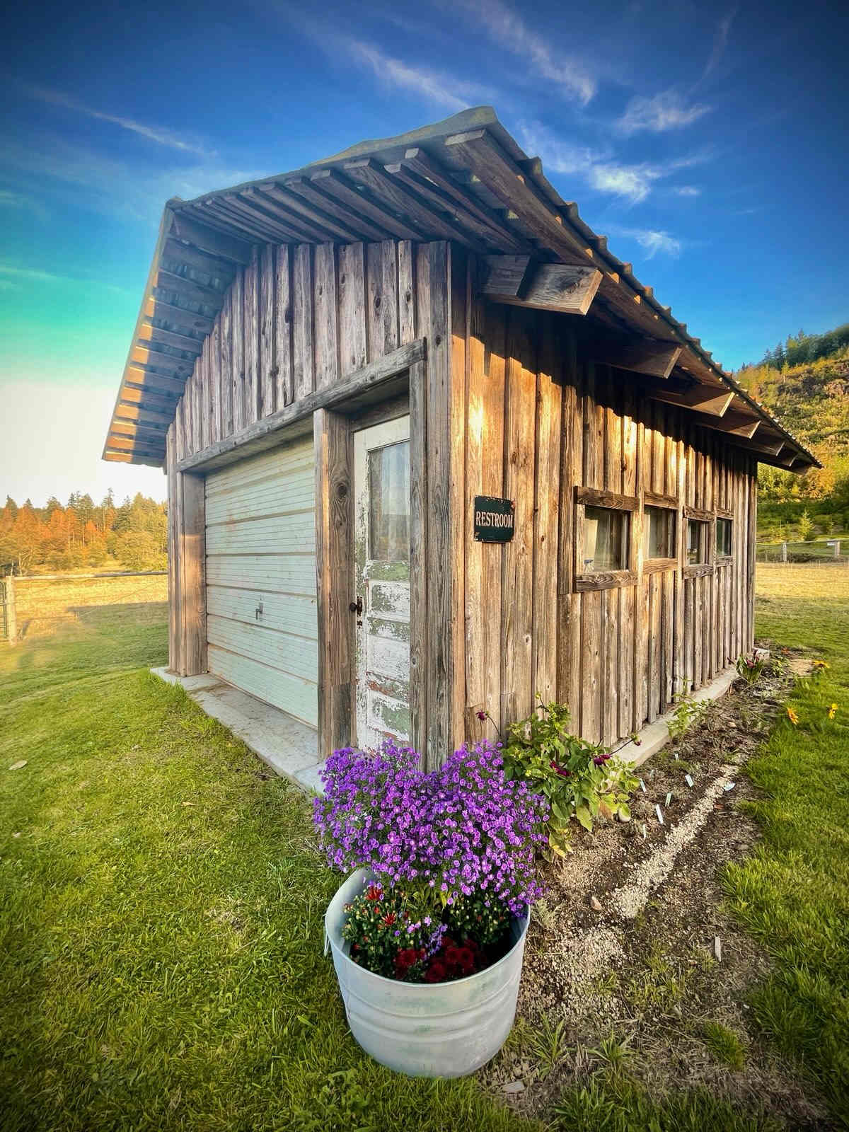 Our wee rustic restroom - with toilet and basin, basic toiletries, dressers and mirrors. Shower coming soon.