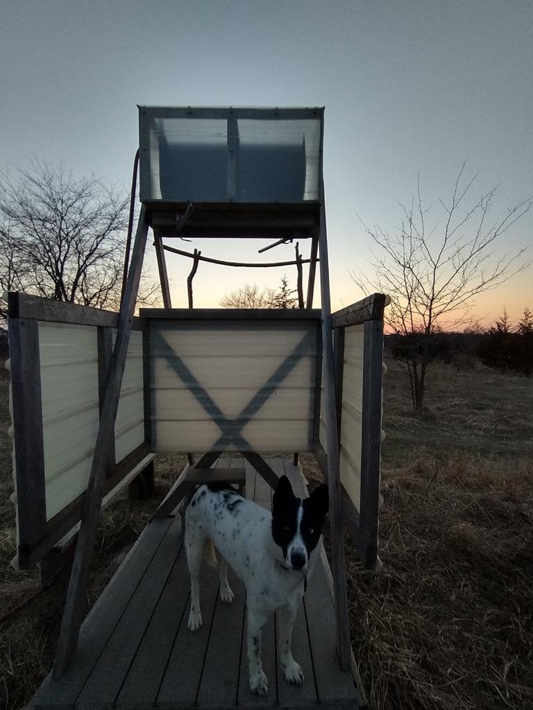 outdoor solar shower! 