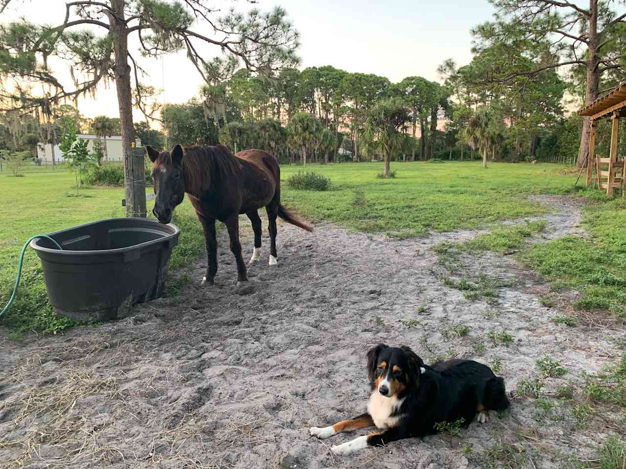 Bell Oaks Ranch 5 min from Beach