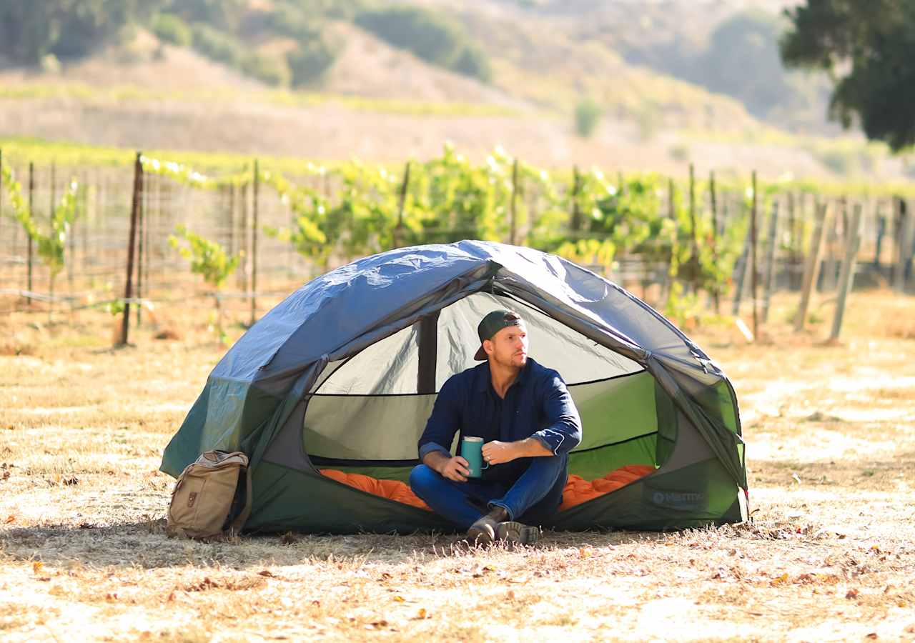 Tent camping beside the vineyards 