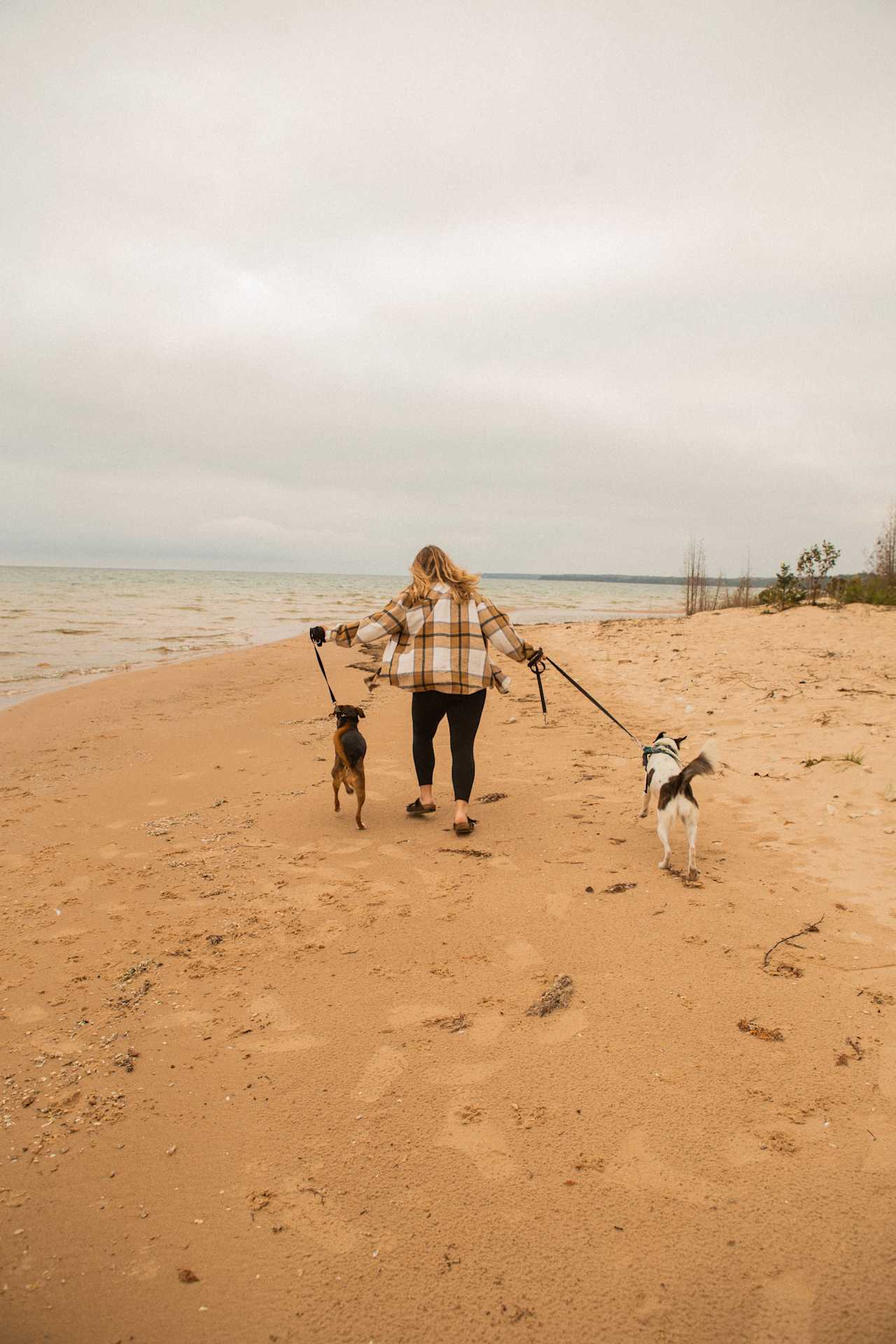 Took a run on the beach with our dogs! So much space to roam!