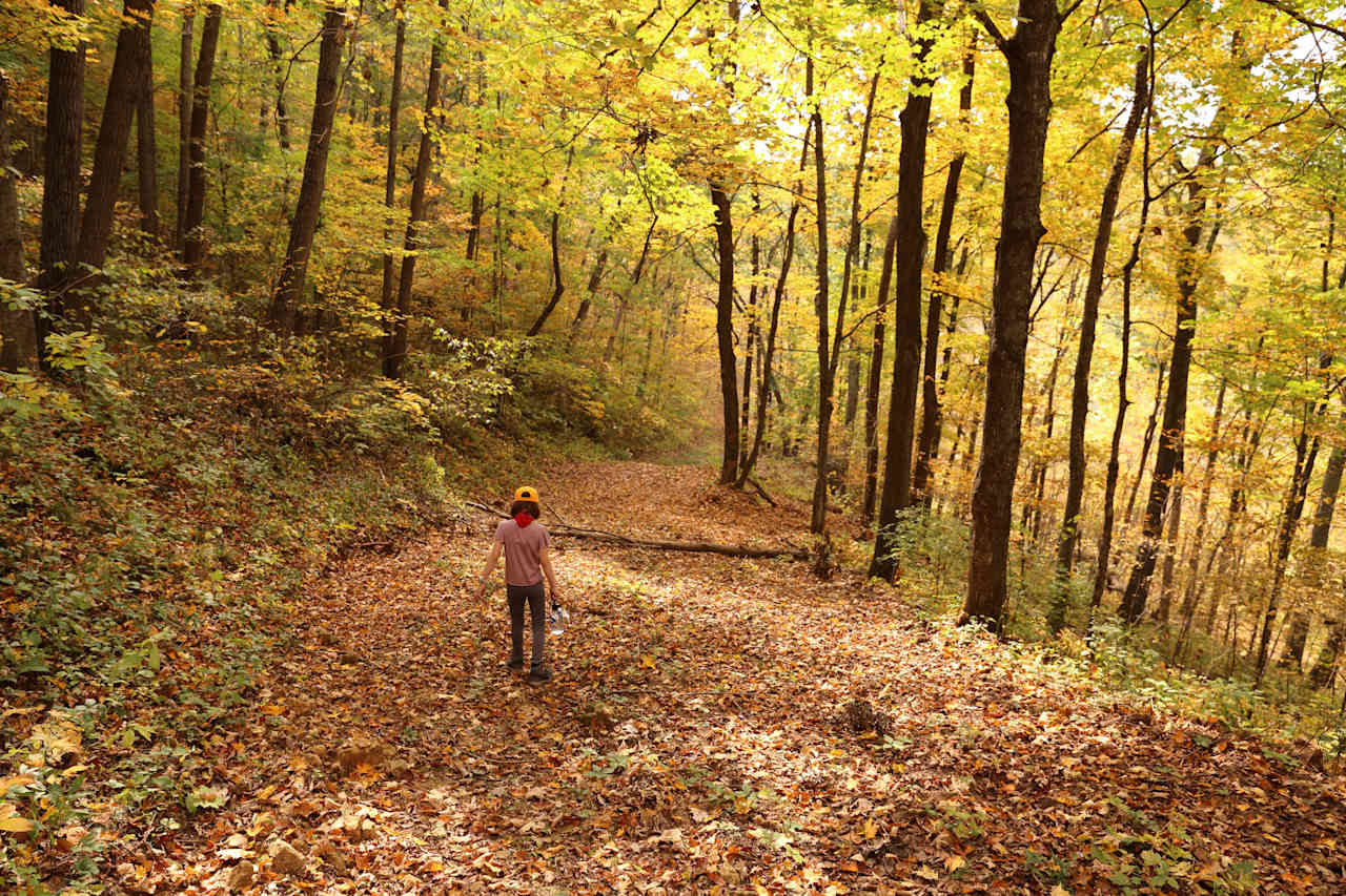 Hiking on the other side of the property