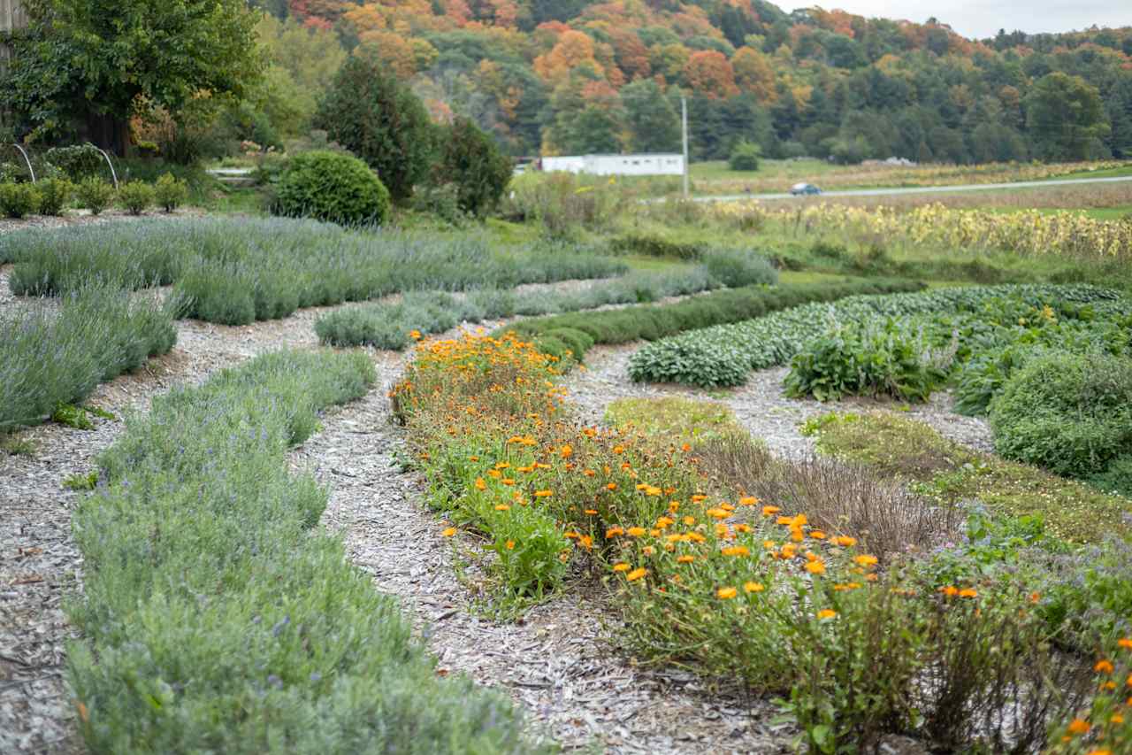 The herb gardens are stunning!