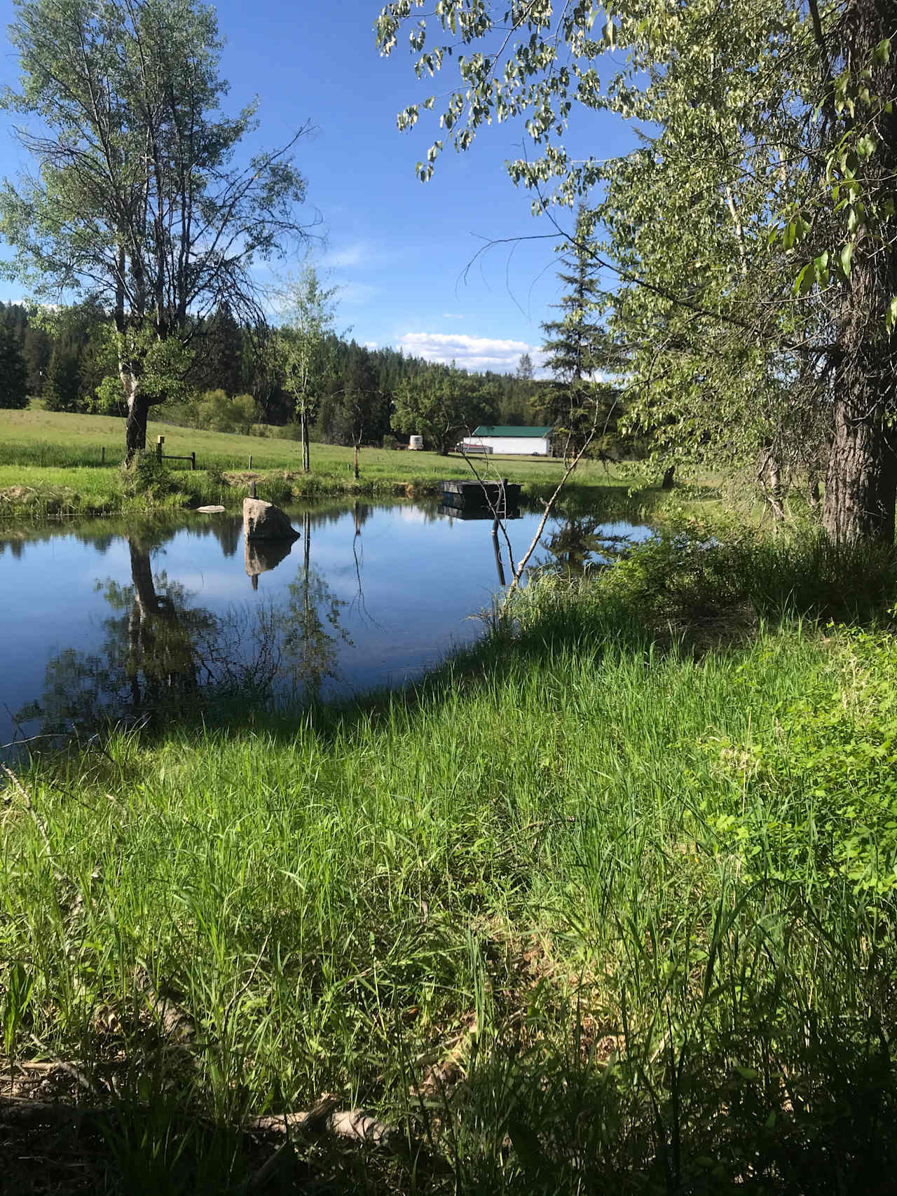 The pond camp