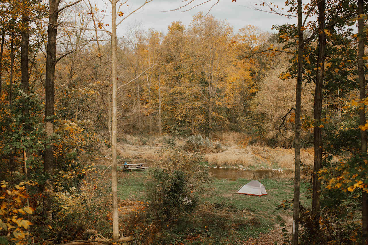 The campsite! It's so unexpected coming from the field pathway in, this is a totally spacious and tucked away spot.