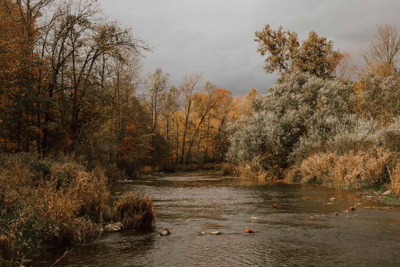 Down river, what a peaceful sound.