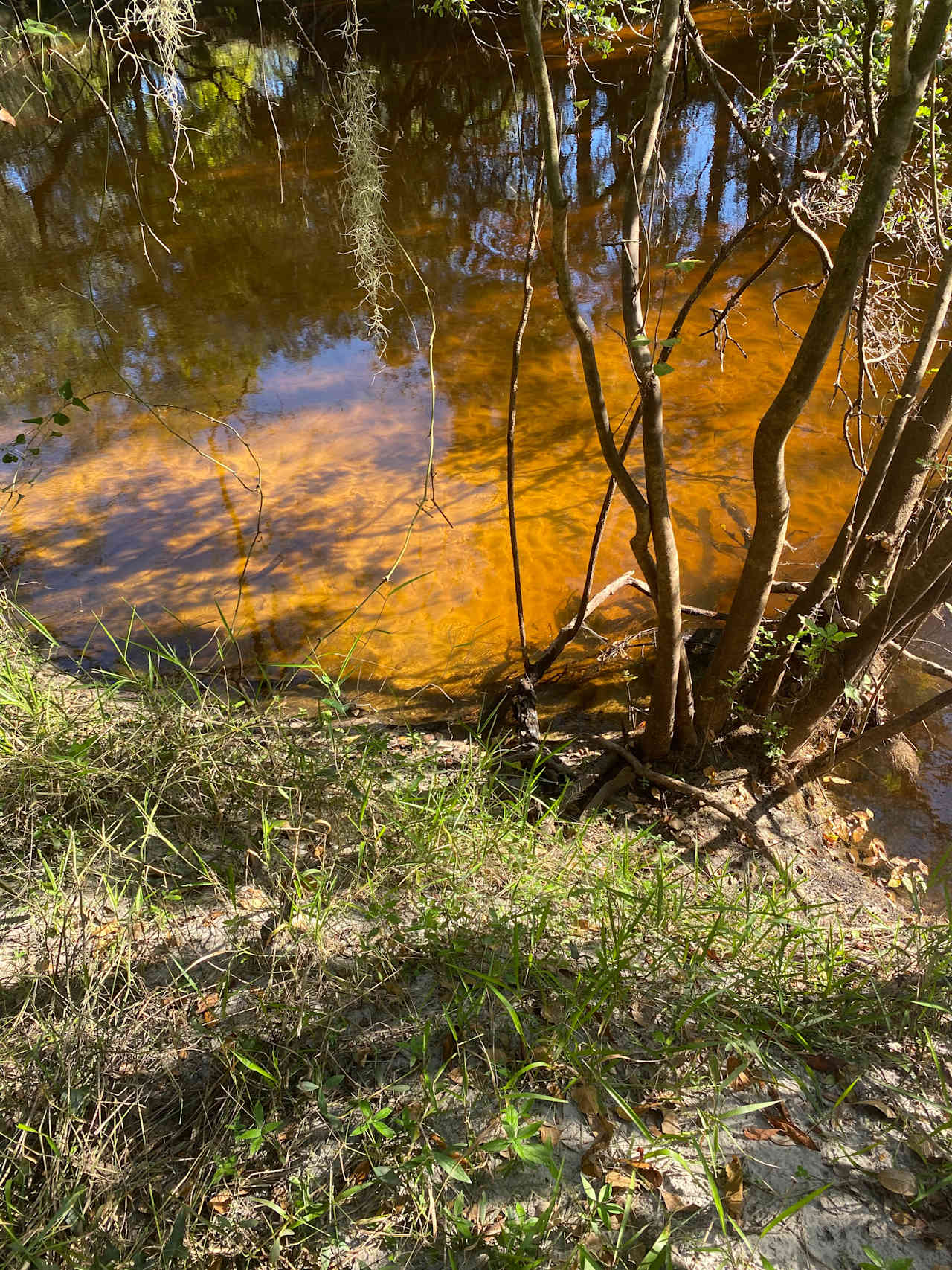 Sandy Bottom River Retreat