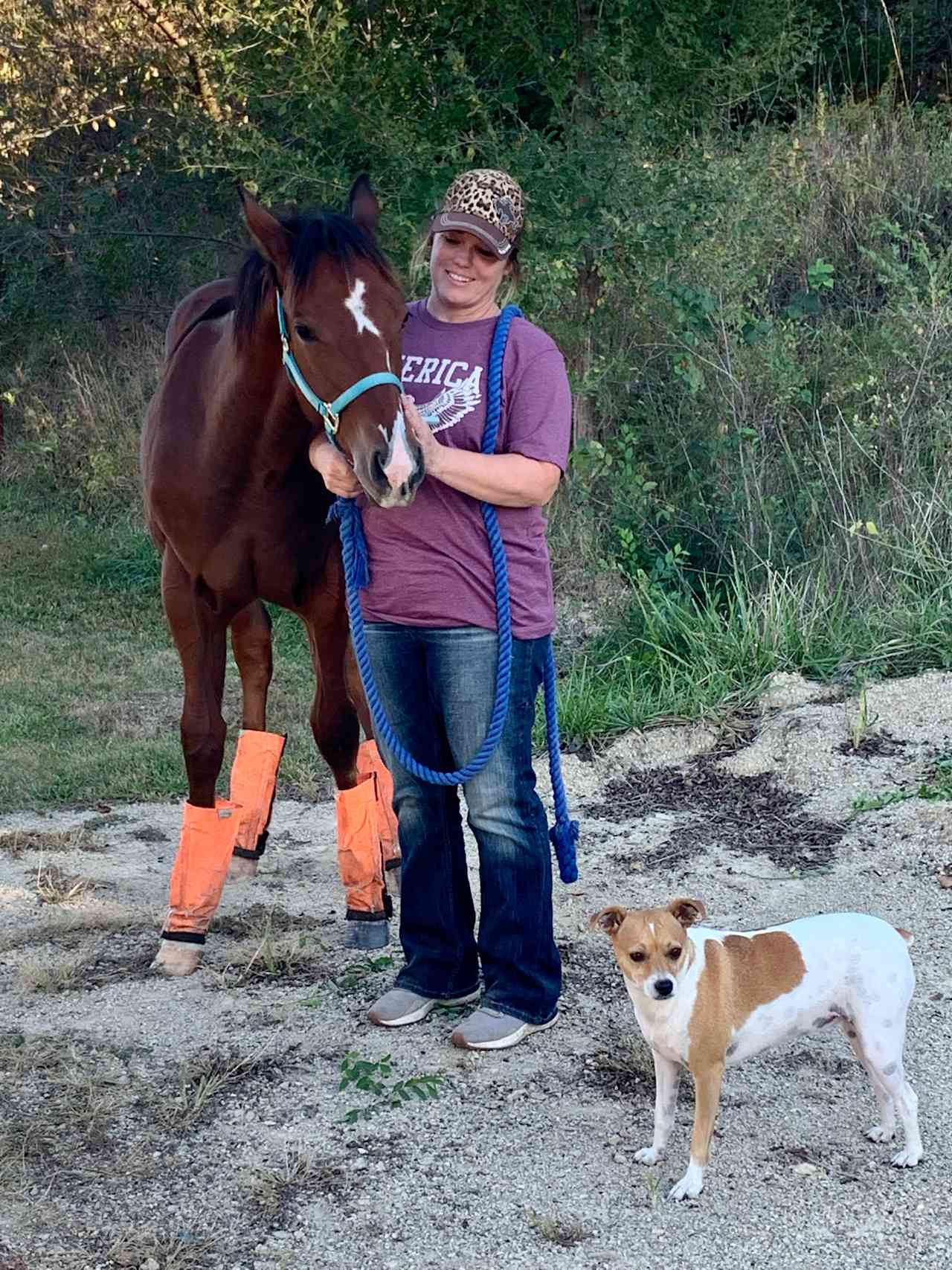 Equine Estates Rustic Horse Ranch