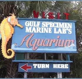 aquarium within 1 mile