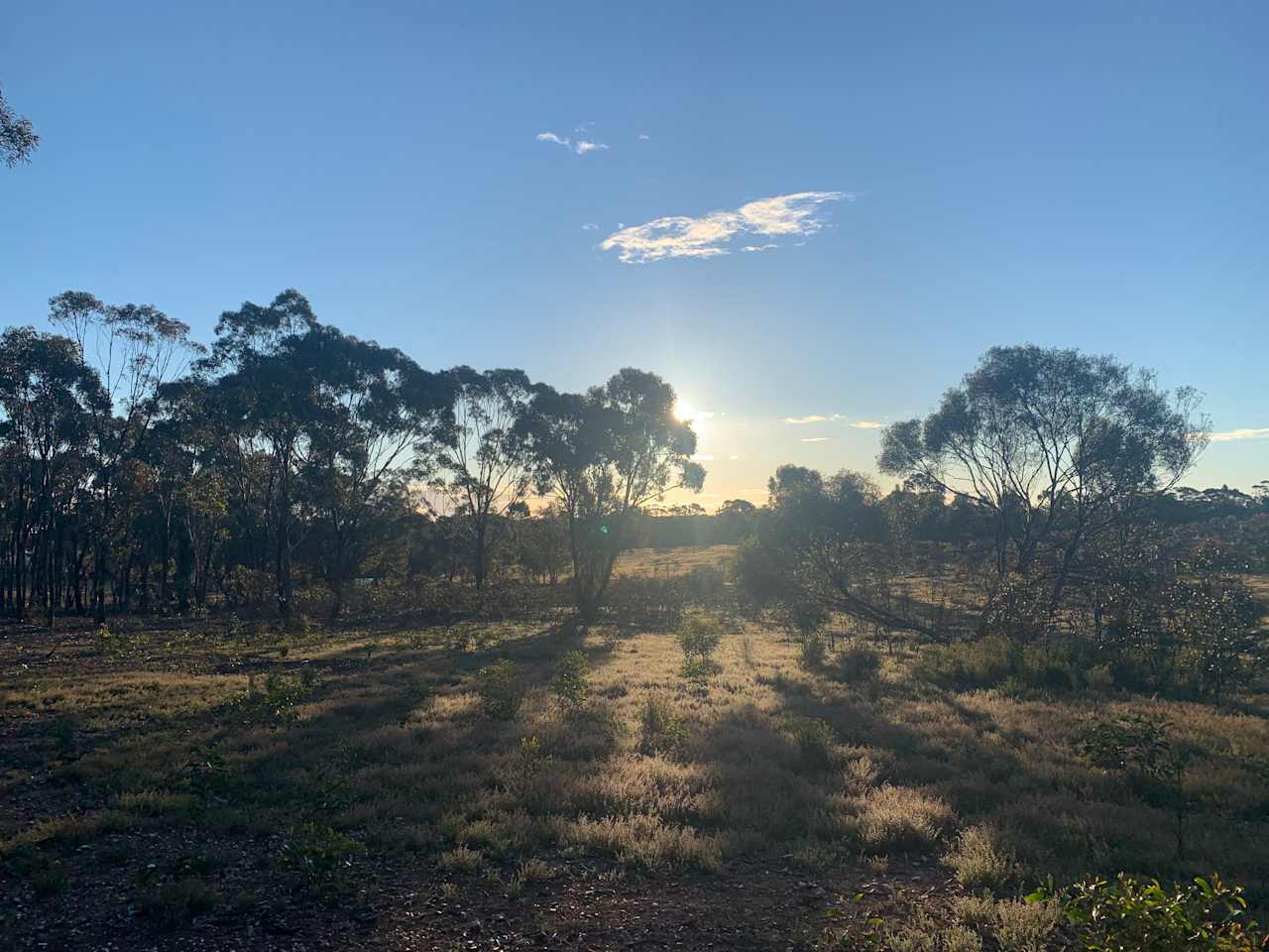 St Arnaud Bush Escape