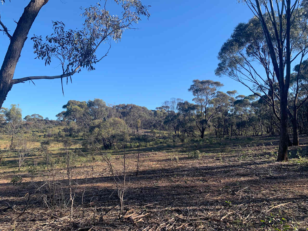 St Arnaud Bush Escape