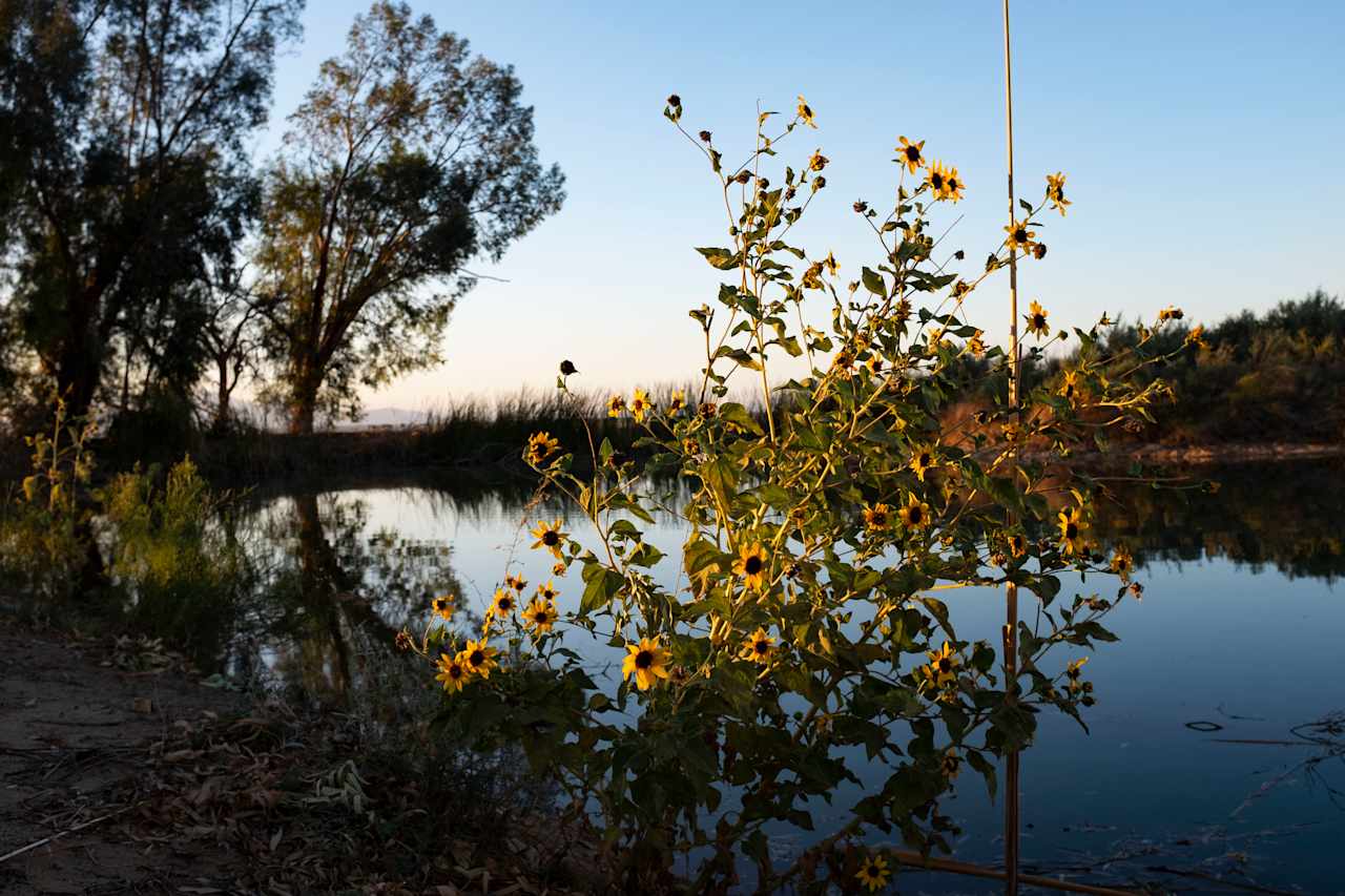 Oasis Ranch