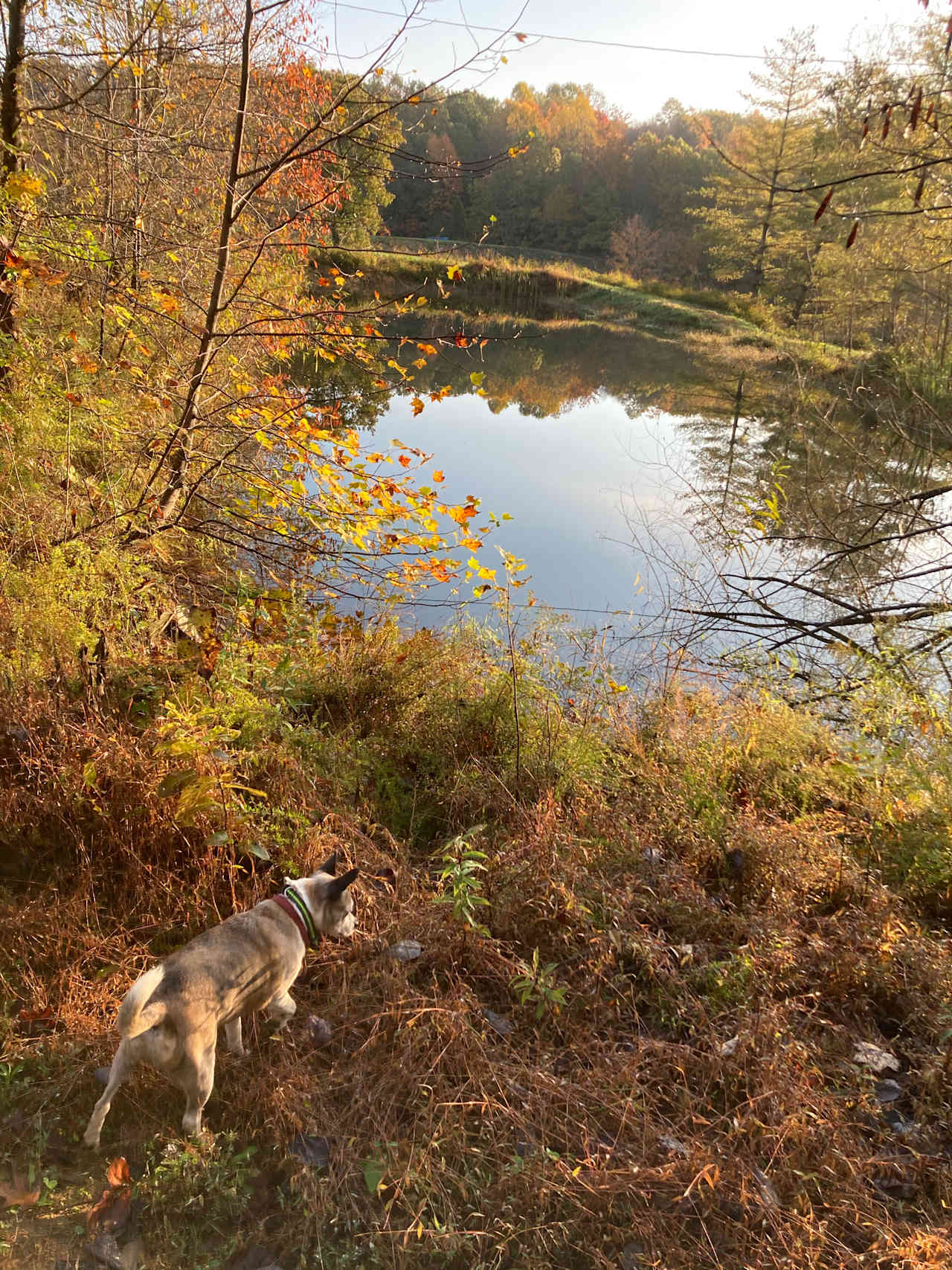 Lake View camping