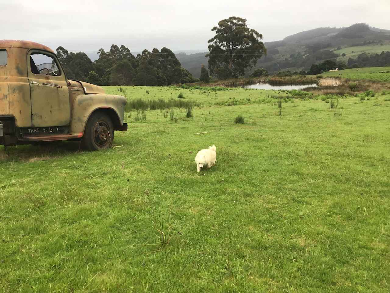 South Preston Dam Camp