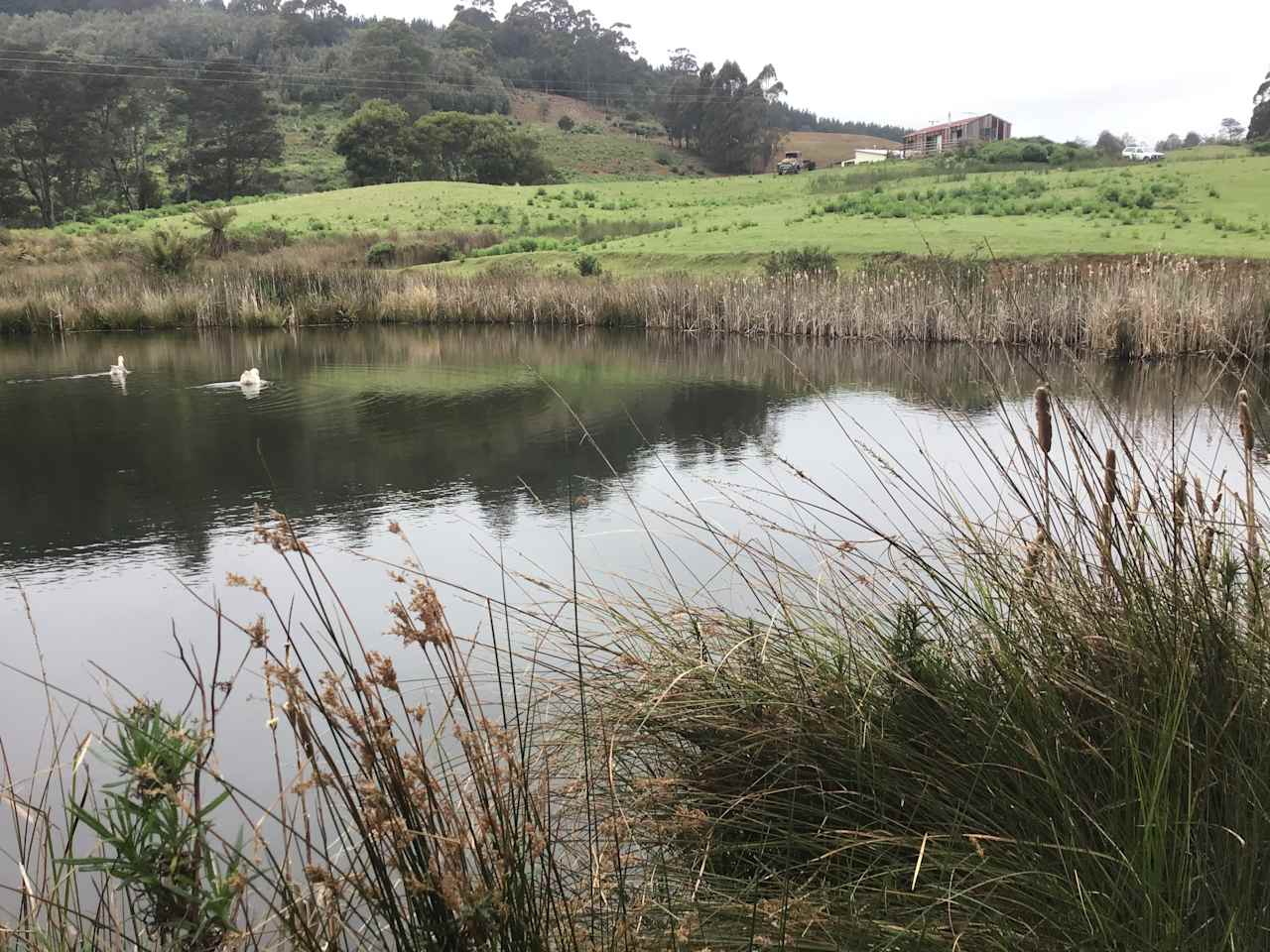 South Preston Dam Camp