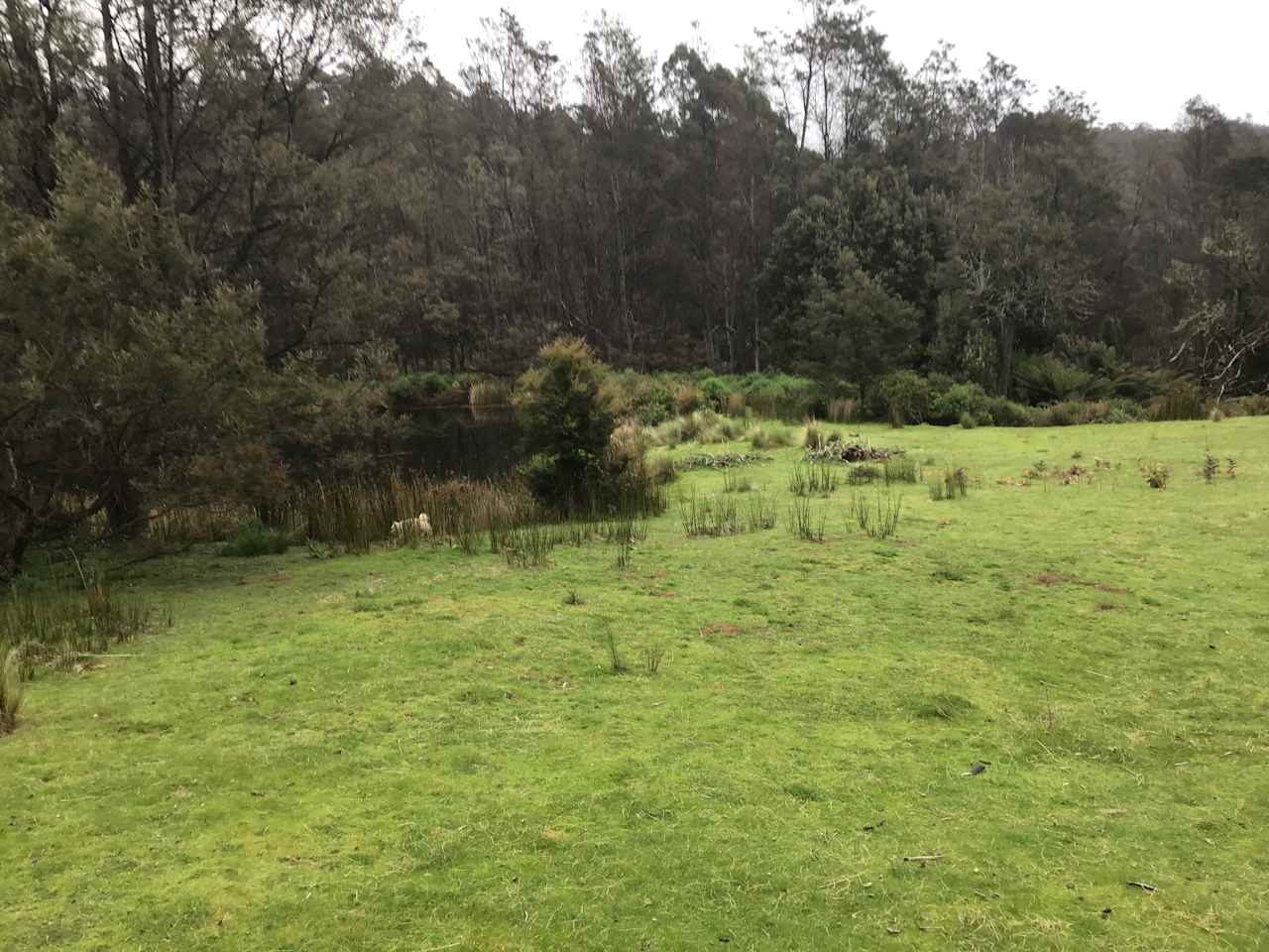 South Preston Dam Camp