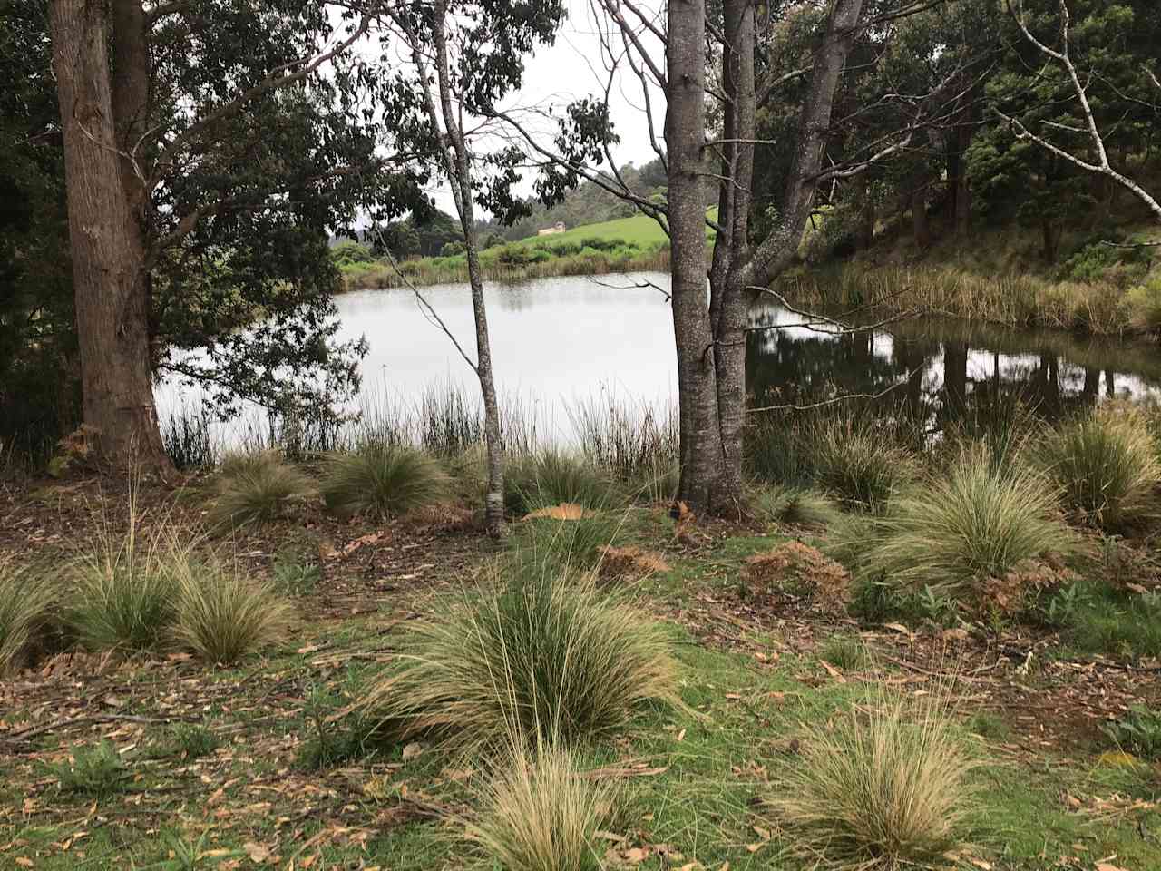 South Preston Dam Camp