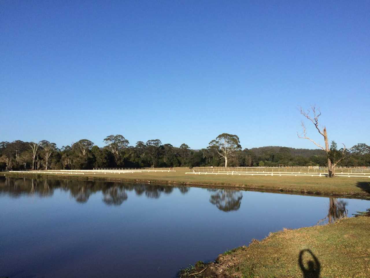 Lakestead Farm