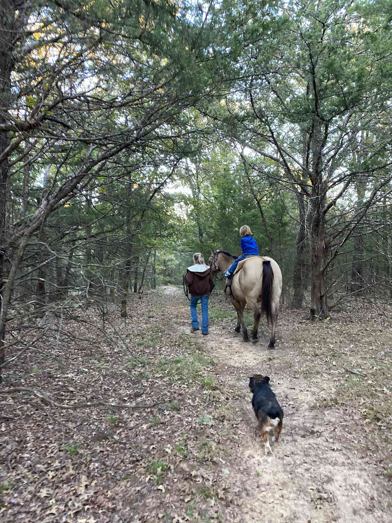 Camp Tonkawa Woods & Horse Camp