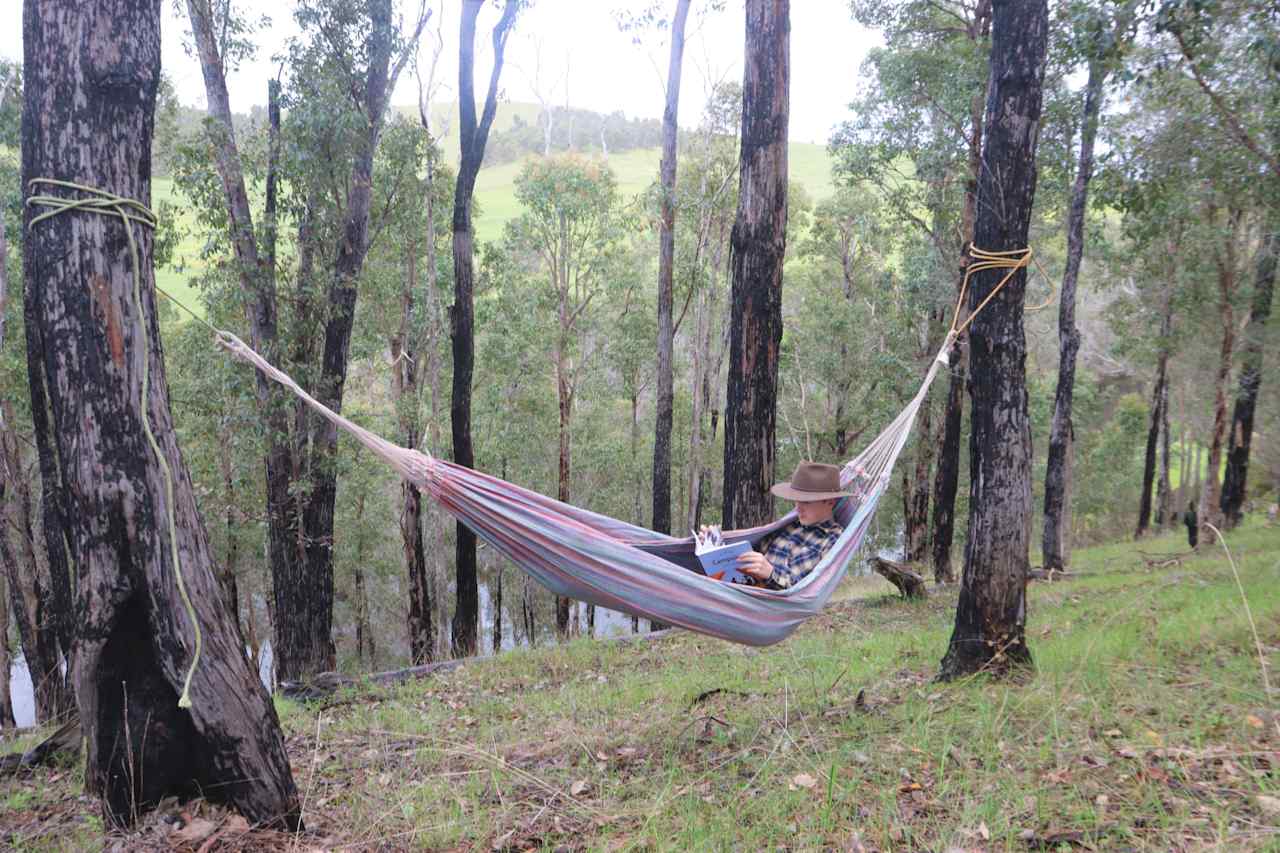 Enjoy the tranquil Blackwood Forrest and listen to the sounds of the Blackwood River flowing beside you. 