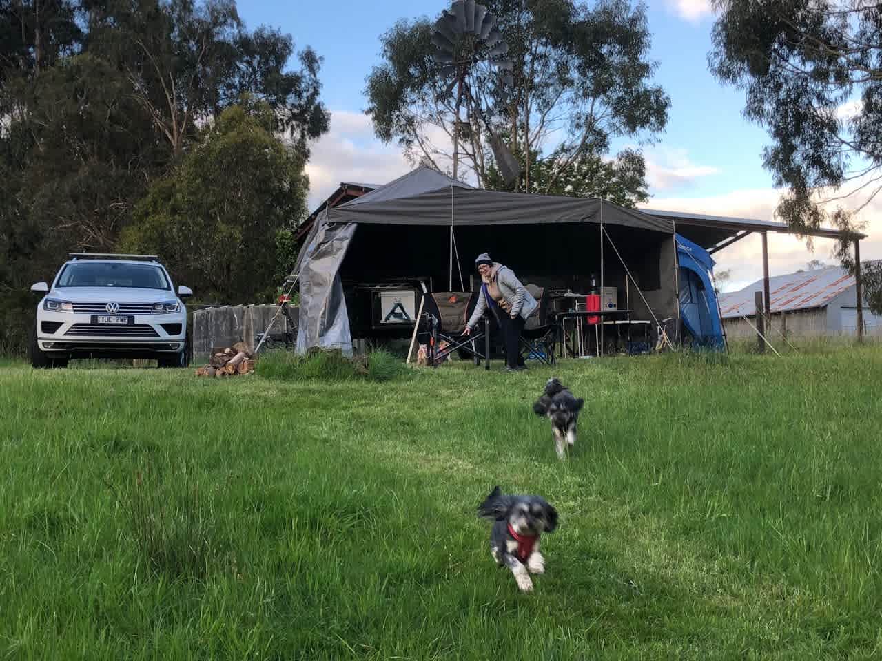 Campsite is puppy friendly