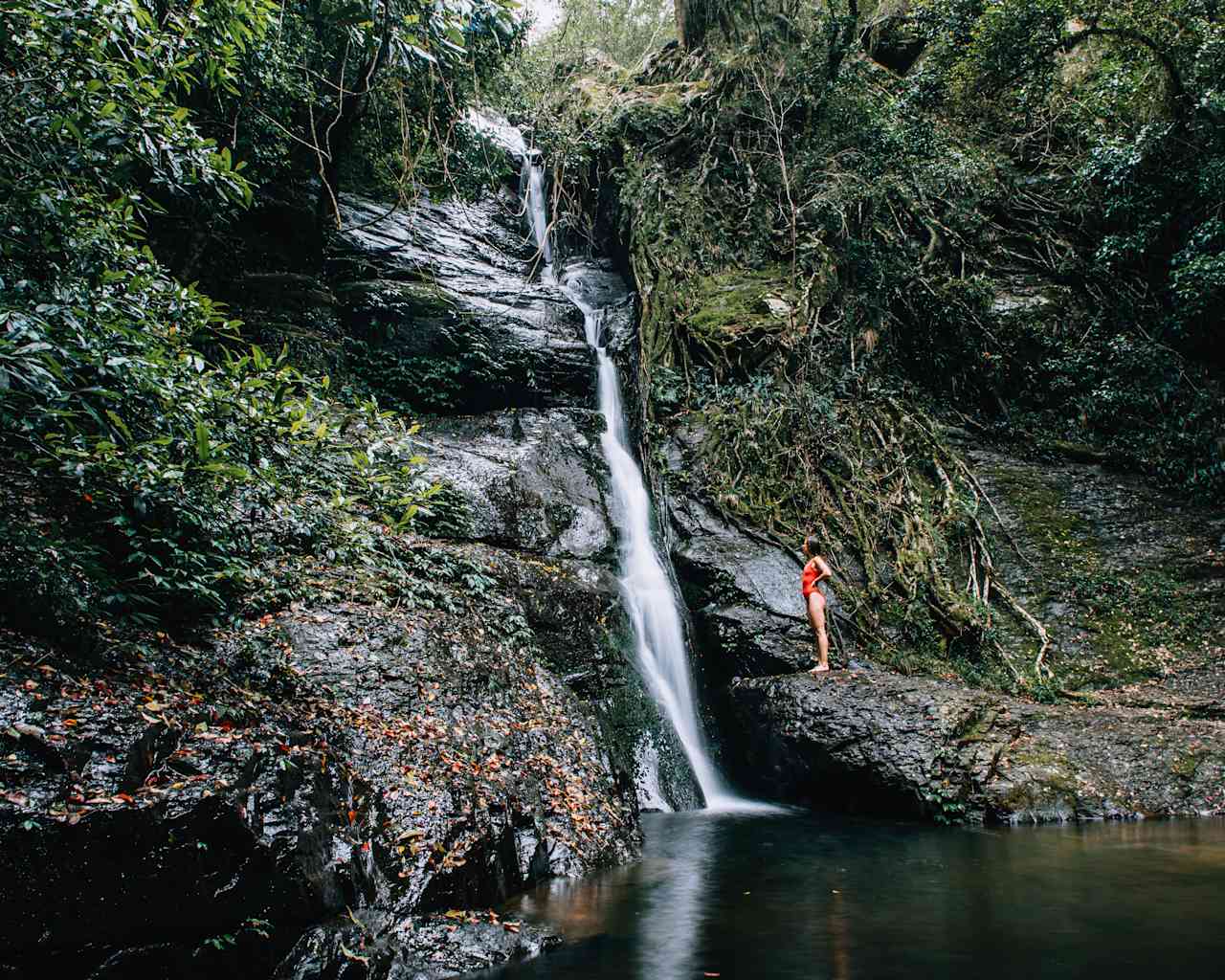 I highly recommend checking out the nearby Macquarie Pass National Park!