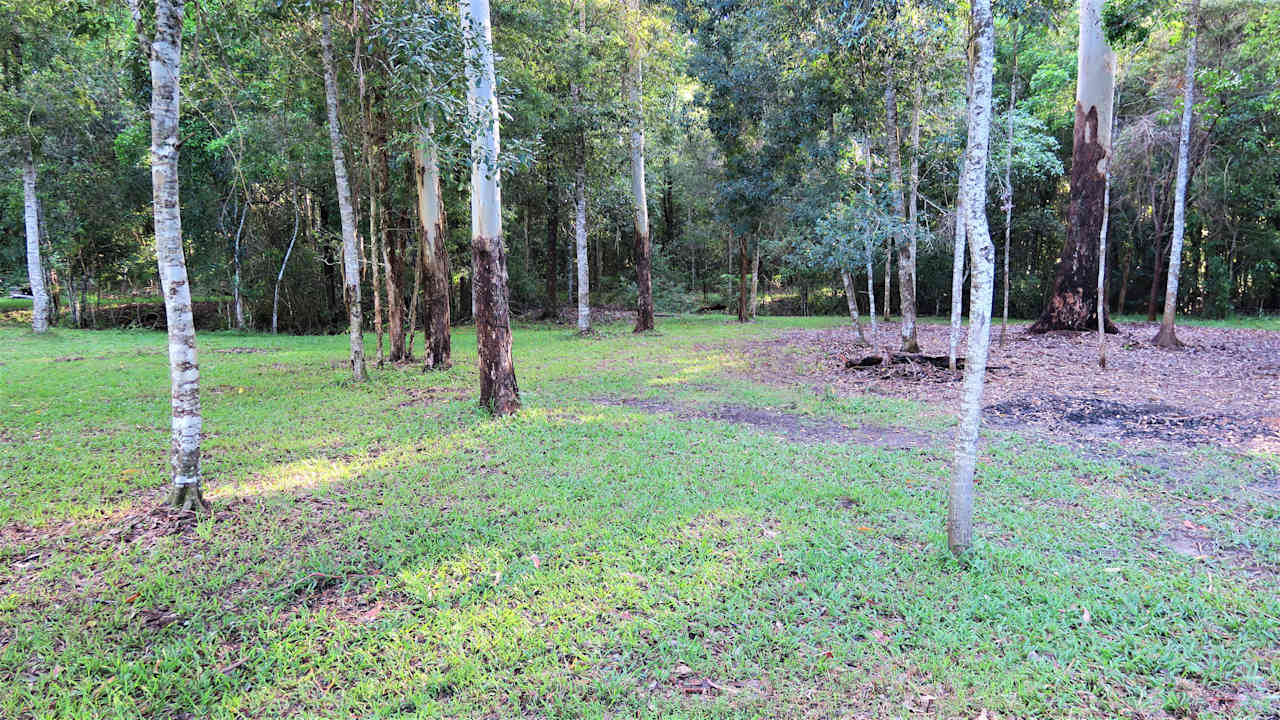 Bunya Ridge Nature Camp