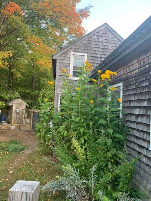 House on the property.