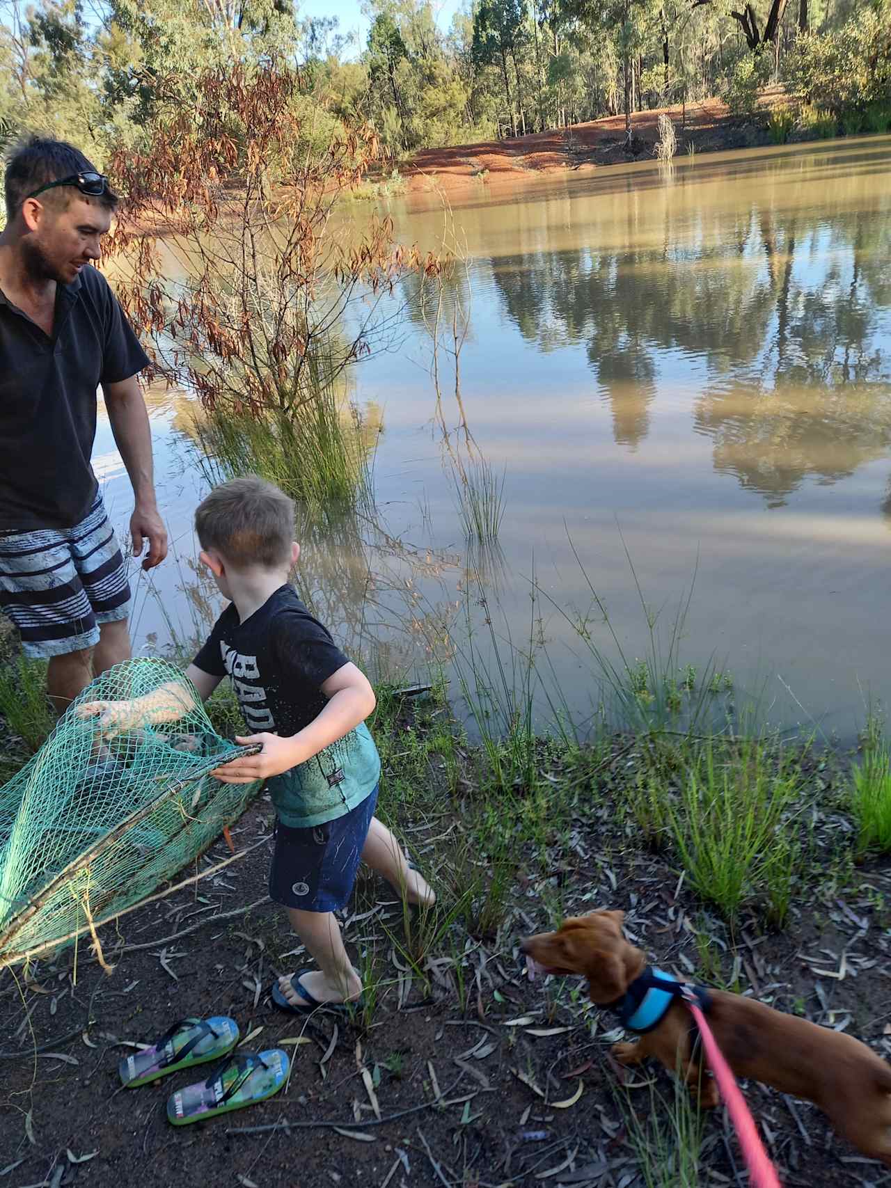 Out goes a yabby pot.