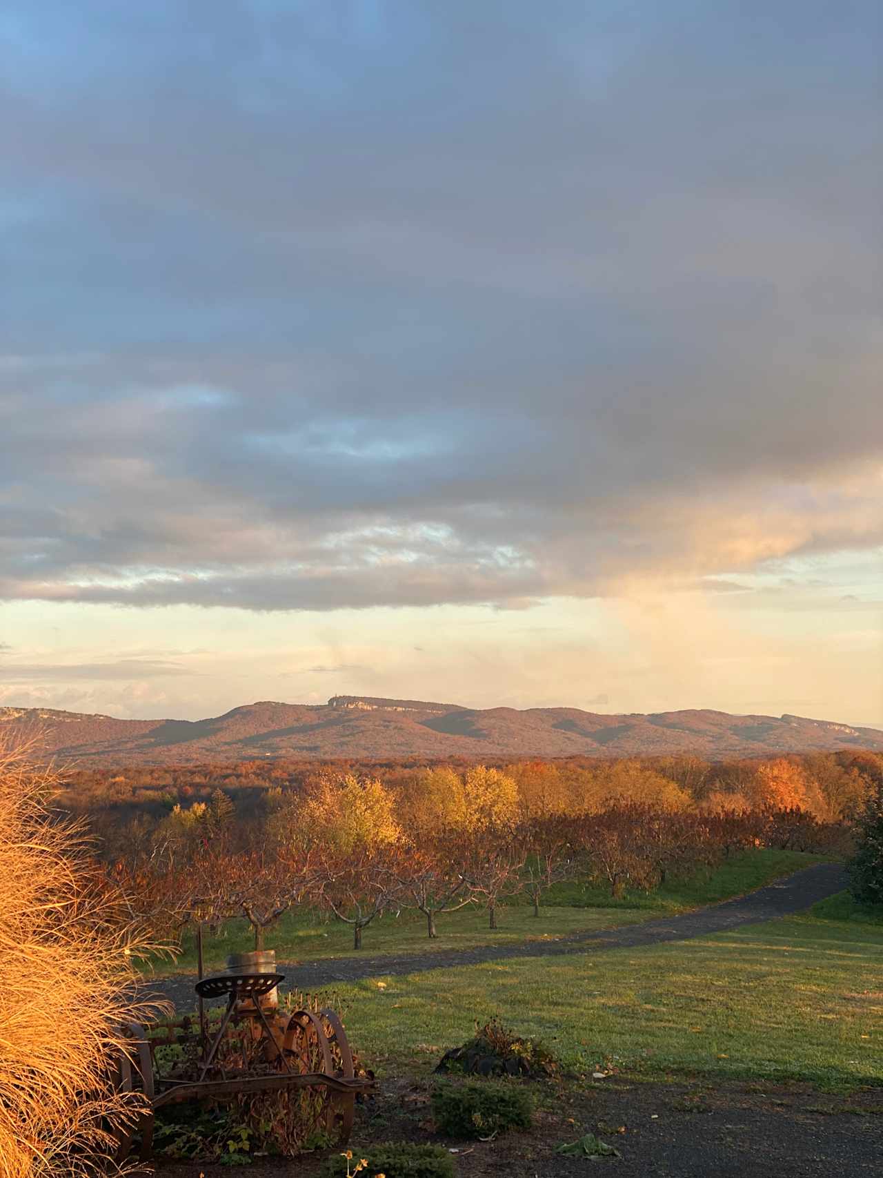 The Mountain Top @Wright's Farm