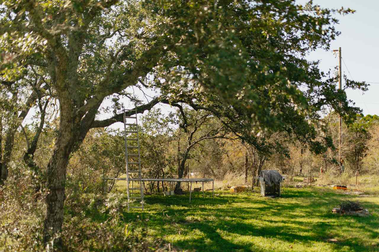 Trampoline on the property.