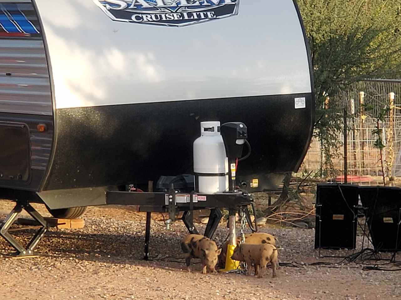 Little visitors checking things out.