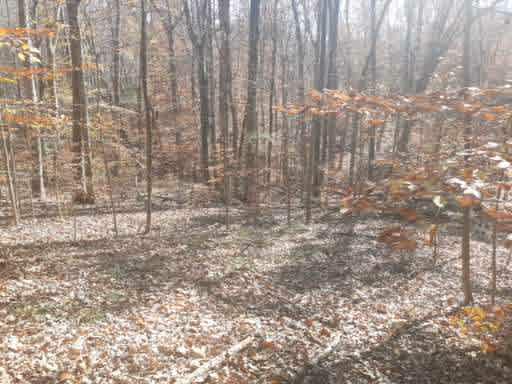 Meherrin Drive Lot 16 (Oak hill)