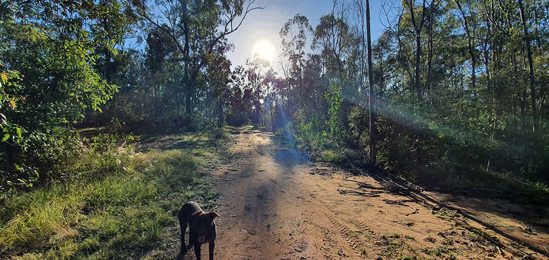 We have a few dirt roads on the property to explore